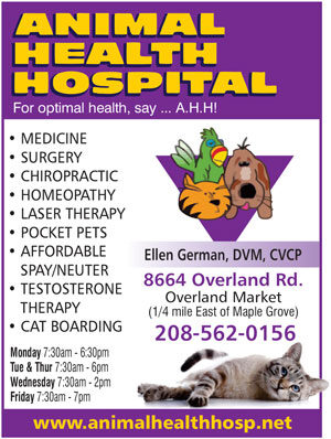 Photo of Animal Health Hospital Photo of Animal Health Hospital